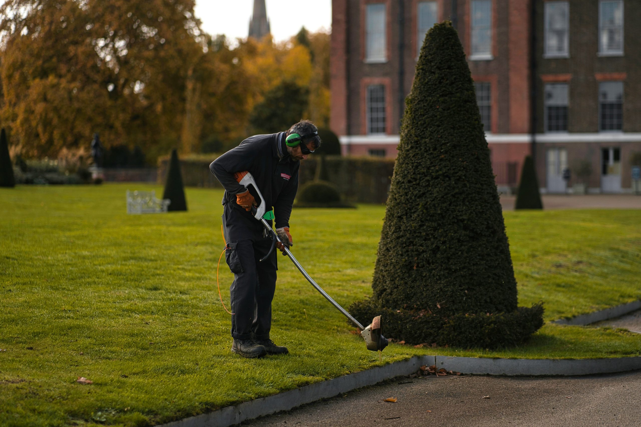 Hedge Trimming Services-unsplash Professional hedge trimming service shaping and maintaining healthy residential hedges in Ottawa, Ontario
