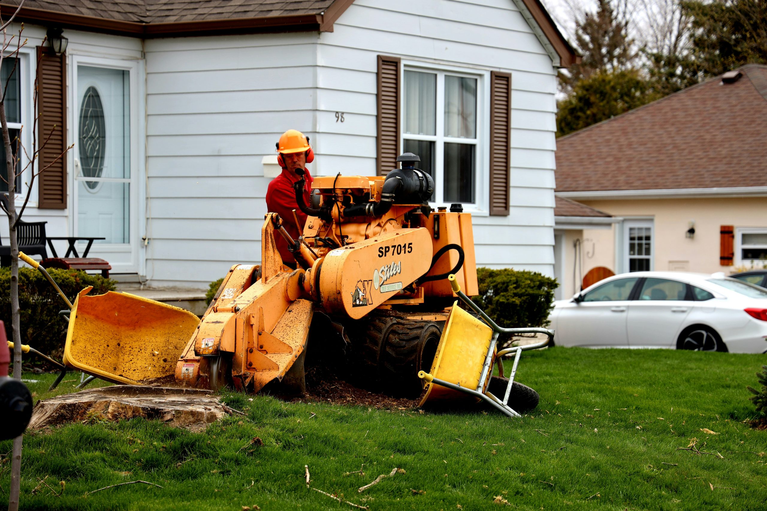 Stump Grinding Services-unsplash Stump Grinding Services