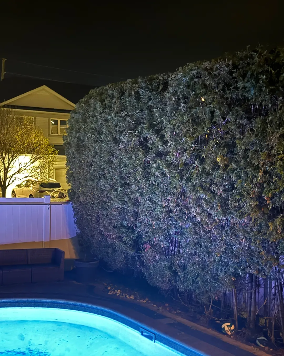 Professional Hedge Care by Northern Edge Green Professional hedge care by Northern Edge Green featuring a well-maintained cedar hedge surrounding a residential backyard in Ottawa.