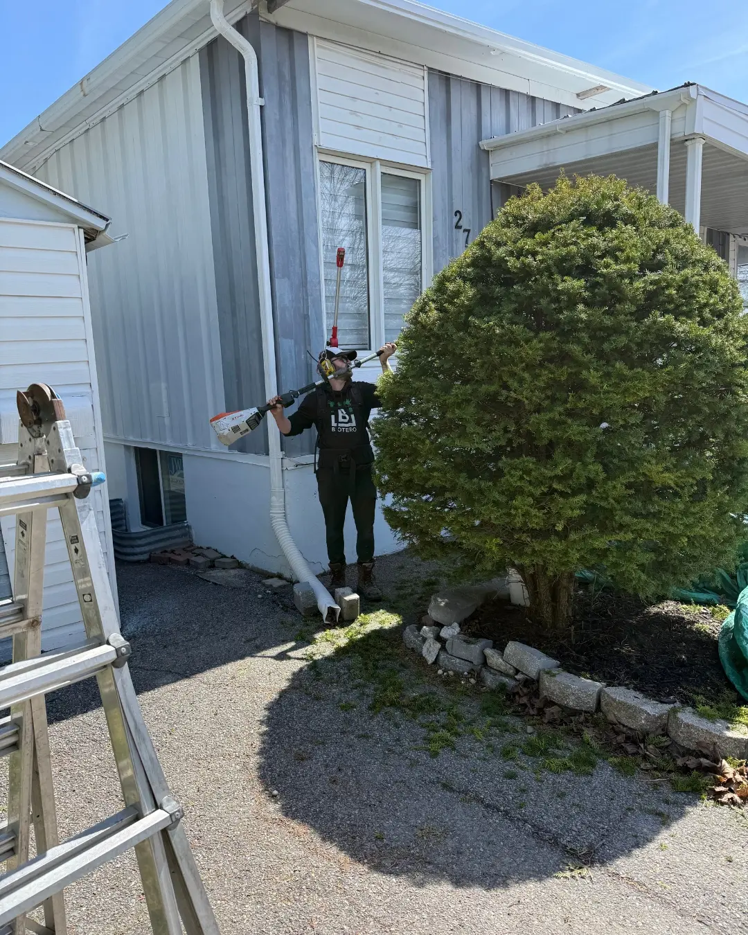 Professional hedge trimming service in Ottawa using pole hedge trimmer to maintain residential landscaping and improve curb appeal.