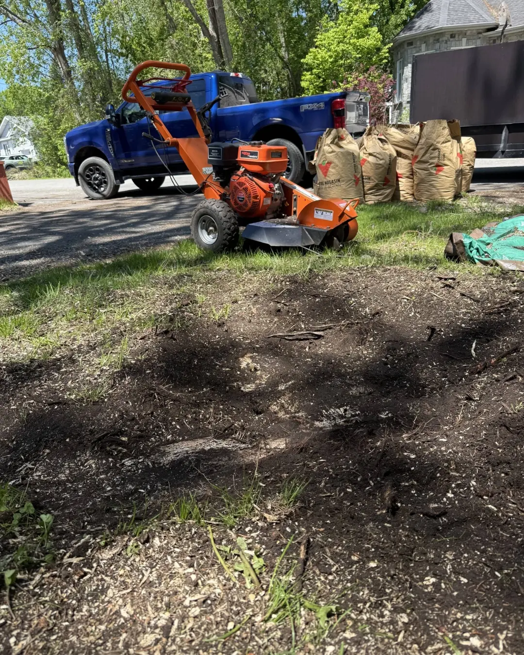 Improve Your Property with Stump Grinding Professional stump grinding service in Ottawa creating a cleaner and more usable outdoor space for homeowners.
